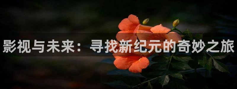 老湿影院免费看