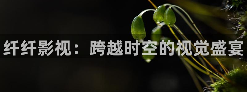 老湿影院在线免费观看